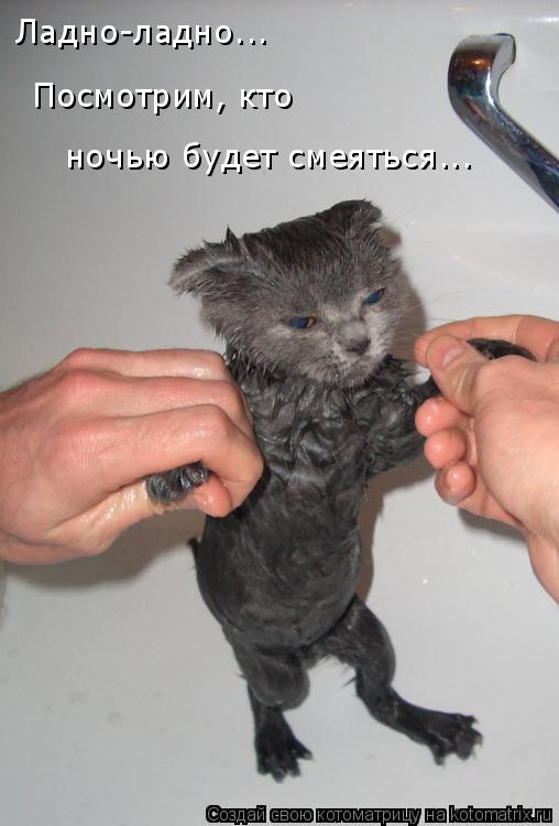 Ладно-ладно... ночью будет смеяться... Посмотрим, кто... Котоматрица: Ладно-ладно... ночью будет смеяться... Посмотрим, кто