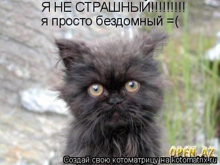 Я НЕ СТРАШНЫЙ!!!!!!!!! я просто бездомный =(... Котоматрица: Я НЕ СТРАШНЫЙ!!!!!!!!! я просто бездомный =(