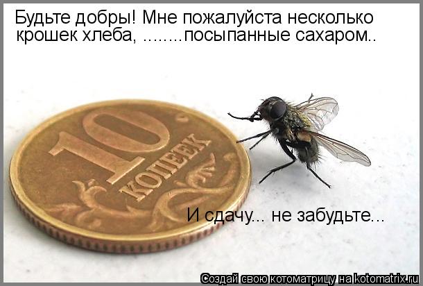 Будьте добры! Мне пожалуйста несколько И сдачу... не забудьте... крошек хлеба, ........посыпанные са... Котоматрица: Будьте добры! Мне пожалуйста несколько И сдачу... не забудьте... крошек хлеба, ........посыпанные сахаром..