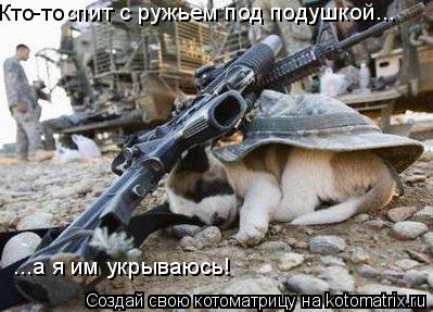 Кто-то спит с ружьем под подушкой... ...а я им укрываюсь!... Котоматрица: Кто-то спит с ружьем под подушкой... ...а я им укрываюсь!