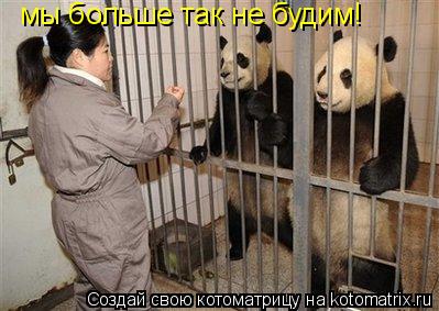 мы больше так не будим!... Котоматрица: мы больше так не будим!