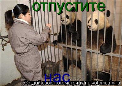 о о отпустите нас... Котоматрица: о о отпустите нас