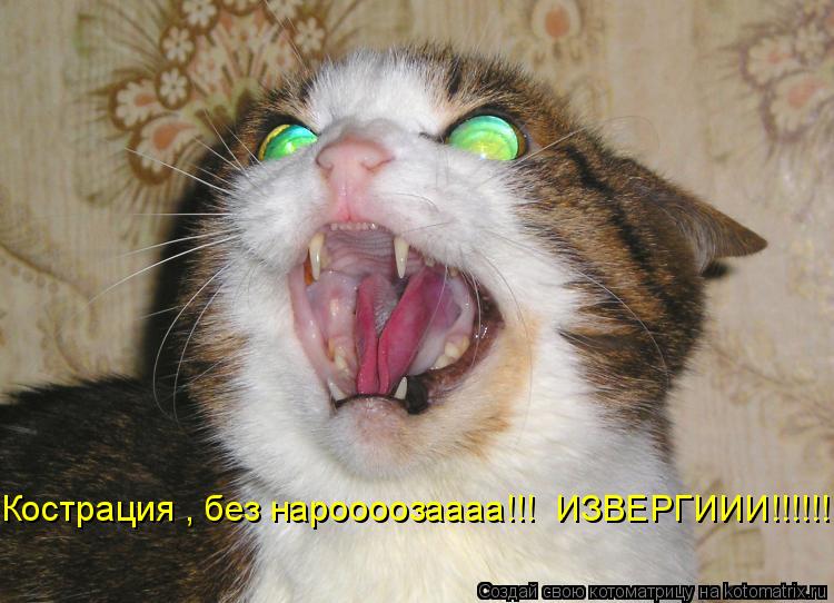 Кострация , без нароооозаааа!!! ИЗВЕРГИИИ!!!!!!... Котоматрица: Кострация , без нароооозаааа!!! ИЗВЕРГИИИ!!!!!!
