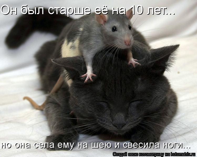 Он был старше её на 10 лет... но она села ему на шею и свесила ноги...... Котоматрица: Он был старше её на 10 лет... но она села ему на шею и свесила ноги...