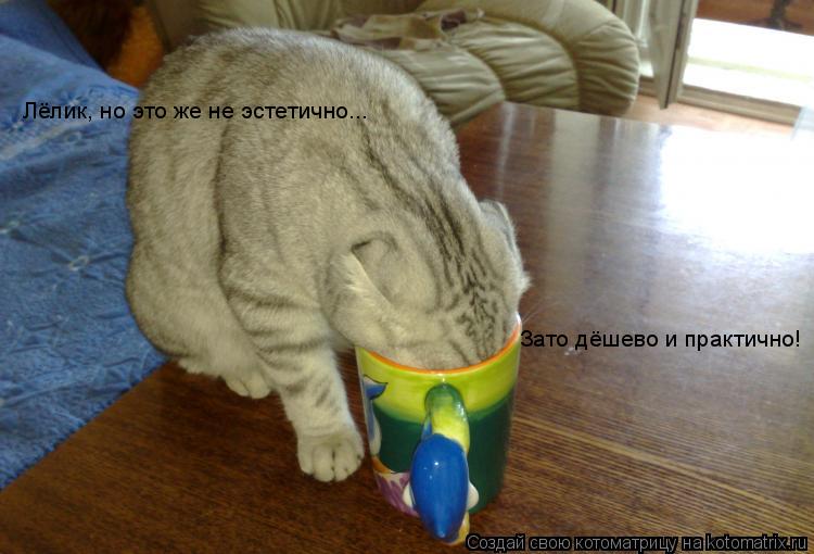 Лёлик, но это же не эстетично... Зато дёшево и практично!... Котоматрица: Лёлик, но это же не эстетично... Зато дёшево и практично!