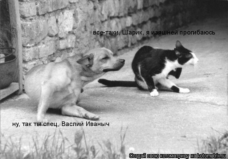 все-таки, Шарик, я изяшней прогибаюсь ну, так ты спец, Васлий Иваныч... Котоматрица: все-таки, Шарик, я изяшней прогибаюсь ну, так ты спец, Васлий Иваныч