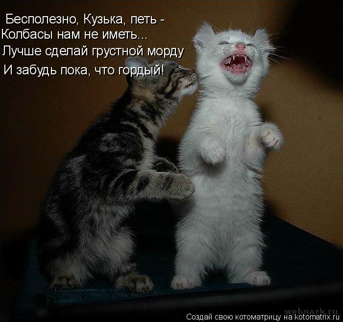 Бесполезно, Кузька, петь - Колбасы нам не иметь... Лучше сделай грустной морду И забудь пока, что го... Котоматрица: Бесполезно, Кузька, петь - Колбасы нам не иметь... Лучше сделай грустной морду И забудь пока, что гордый!