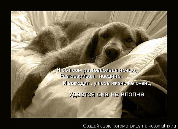 Я со псом разговаривал ночью, Разговаривал — наедине,— И выходит — у псов жизнь не очень, Удается она... Котоматрица: Я со псом разговаривал ночью, Разговаривал — наедине,— И выходит — у псов жизнь не очень, Удается она не вполне...