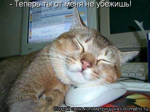 - Теперь ты от меня не убежишь!... Котоматрица: - Теперь ты от меня не убежишь!