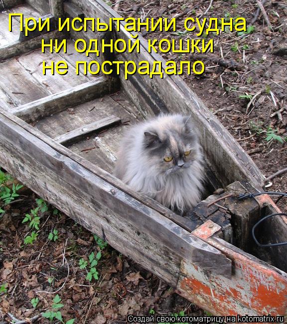 При испытании судна ни одной кошки не пострадало... Котоматрица: При испытании судна ни одной кошки не пострадало