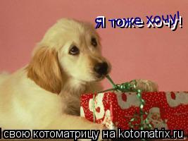 Я тоже хочу! Я тоже хочу!... Котоматрица: Я тоже хочу! Я тоже хочу!