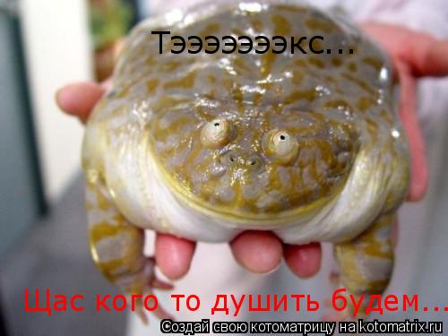 Тэээээээкс... Щас кого то душить будем...... Котоматрица: Тэээээээкс... Щас кого то душить будем...