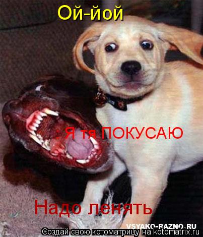 Ой-йой Надо ленять : Я тя ПОКУСАЮ... Котоматрица: Ой-йой Надо ленять : Я тя ПОКУСАЮ