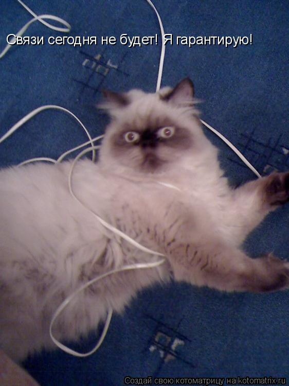 Котоматрица: Связи сегодня не будет! Я гарантирую!