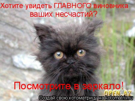 ваших несчастий? Посмотрите в зеркало! Хотите увидеть ГЛАВНОГО виновника... Котоматрица: ваших несчастий? Посмотрите в зеркало! Хотите увидеть ГЛАВНОГО виновника