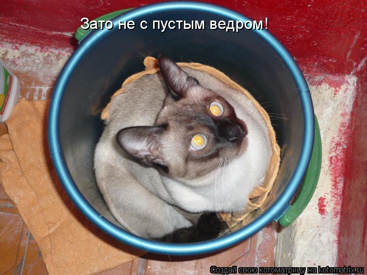 Котоматрица: Зато не с пустым ведром!