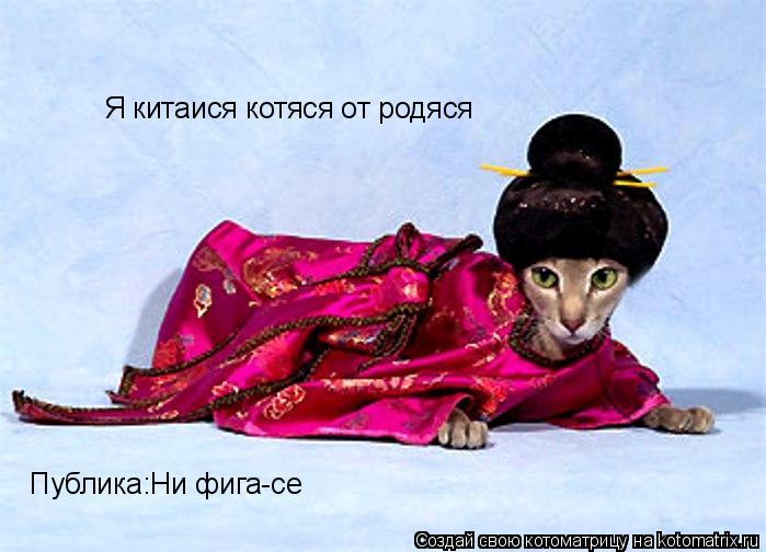 Я китаися котяся от родяся Публика:Ни фига-се... Котоматрица: Я китаися котяся от родяся Публика:Ни фига-се