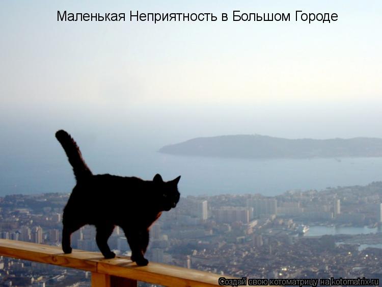 Маленькая Неприятность в Большом Городе... Котоматрица: Маленькая Неприятность в Большом Городе