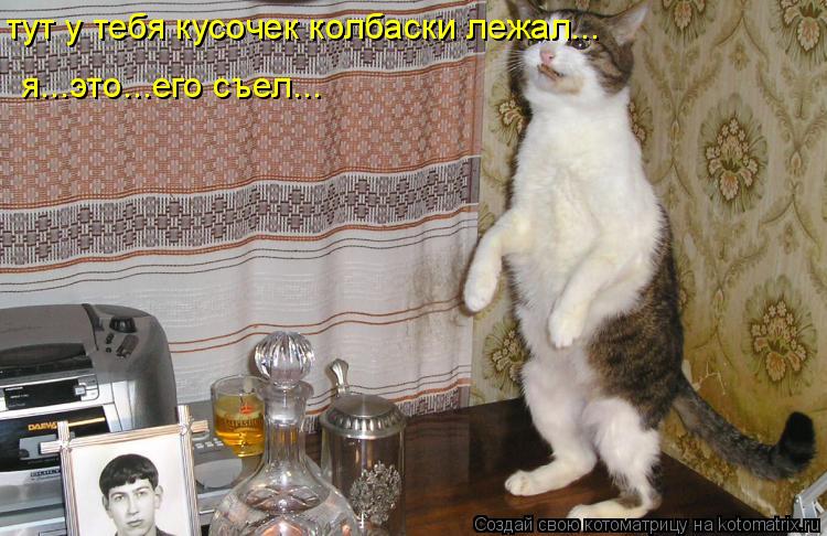 тут у тебя кусочек колбаски лежал... я...это...его съел...... Котоматрица: тут у тебя кусочек колбаски лежал... я...это...его съел...