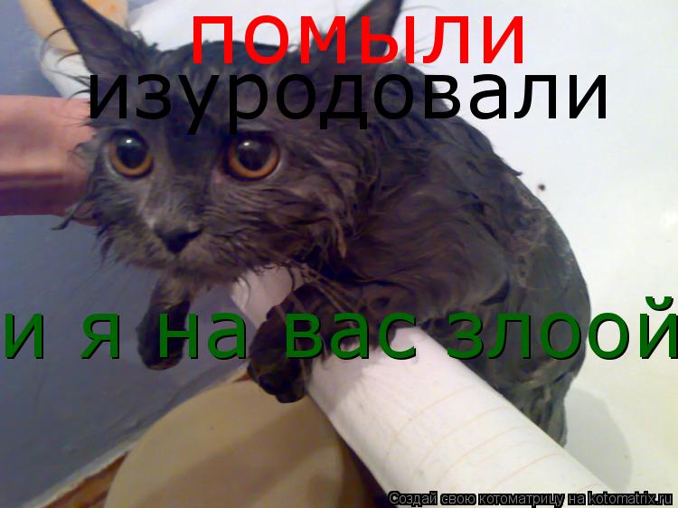 помыли изуродовали и я на вас злоой... Котоматрица: помыли изуродовали и я на вас злоой
