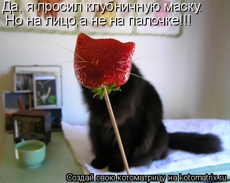 Да, я просил клубничную маску. Но на лицо,а не на палочке!!!... Котоматрица: Да, я просил клубничную маску. Но на лицо,а не на палочке!!!