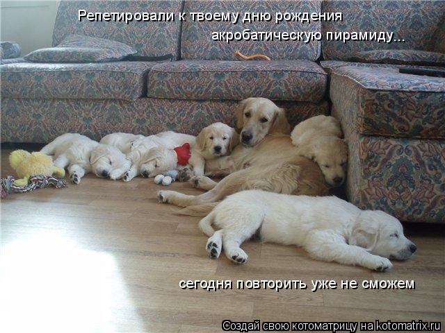 Репетировали к твоему дню рождения акробатическую пирамиду ... сегодня повторить уже не сможем... Котоматрица: Репетировали к твоему дню рождения акробатическую пирамиду ... сегодня повторить уже не сможем