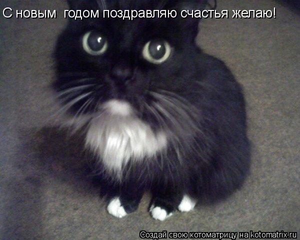 С новым годом поздравляю счастья желаю!... Котоматрица: С новым годом поздравляю счастья желаю!