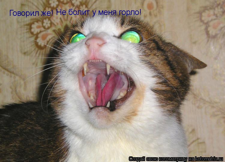 Говорил же! Не болит у меня горло!... Котоматрица: Говорил же! Не болит у меня горло!
