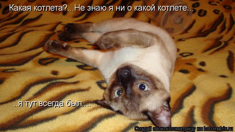 Какая котлета?...Не знаю я ни о какой котлете...я тут всегда был... Какая котлета?...Не знаю я ни о к... Котоматрица: Какая котлета?...Не знаю я ни о какой котлете...я тут всегда был... Какая котлета?...Не знаю я ни о какой котлете... ..я тут всегда был....