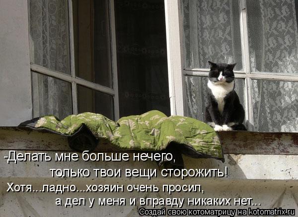 -Делать мне больше нечего, только твои вещи сторожить! Хотя...ладно...хозяин очень просил, а дел у ме... Котоматрица: -Делать мне больше нечего, только твои вещи сторожить! Хотя...ладно...хозяин очень просил, а дел у меня и вправду никаких нет...