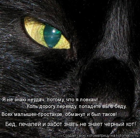 Я не знаю неудач, потому, что я ловкач! Коль дорогу перейду, попадете вы в беду… Всех малышек-простак... Котоматрица: Я не знаю неудач, потому, что я ловкач! Коль дорогу перейду, попадете вы в беду… Всех малышек-простаков, обманул и был таков! Бед, печалей и за