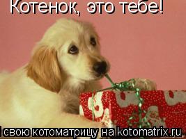Котенок, это тебе!... Котоматрица: Котенок, это тебе!