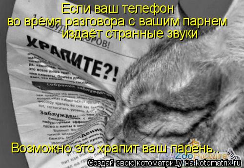 Если ваш телефон во время разговора с вашим парнем издаёт странные звуки Возможно это храпит ваш пар... Котоматрица: Если ваш телефон во время разговора с вашим парнем издаёт странные звуки Возможно это храпит ваш парень..