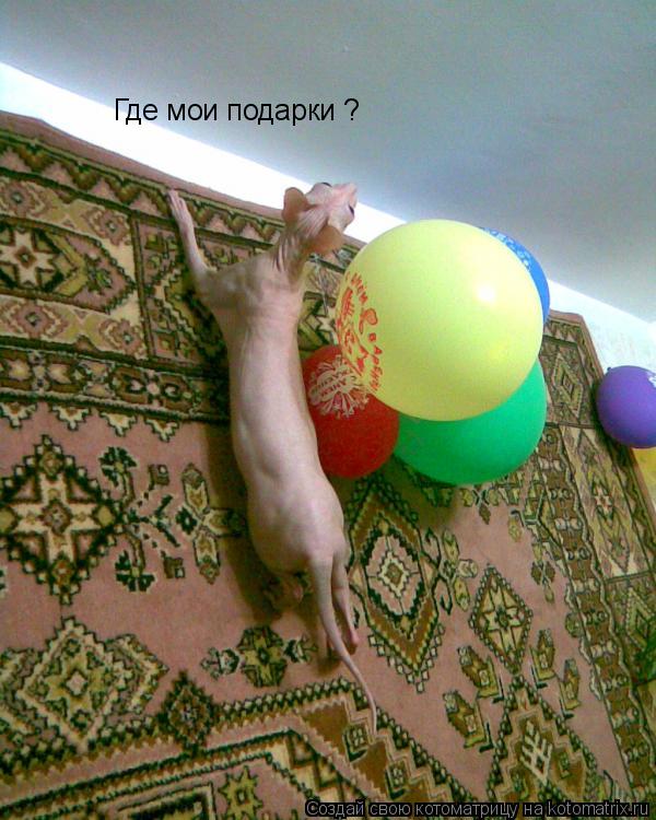 Где мои подарки ?... Котоматрица: Где мои подарки ?