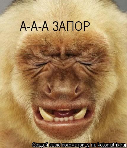 А-А-А ЗАПОР... Котоматрица: А-А-А ЗАПОР