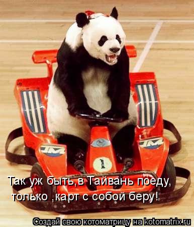 Так уж быть,в Тайвань поеду, только ,карт с собой беру!... Котоматрица: Так уж быть,в Тайвань поеду, только ,карт с собой беру!