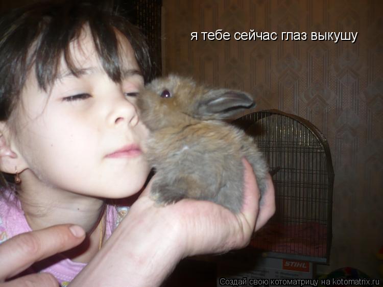 я тебе сейчас глаз выкушу... Котоматрица: я тебе сейчас глаз выкушу
