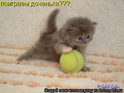 поиграем доченька???... Котоматрица: поиграем доченька???