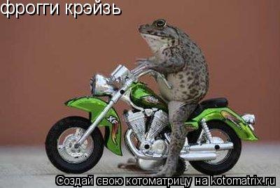 фрогги крэйзь... Котоматрица: фрогги крэйзь