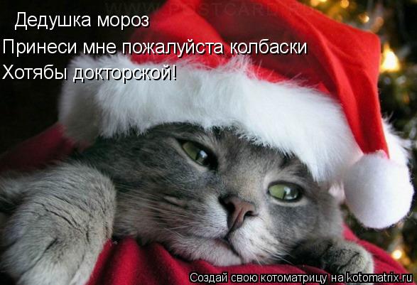 Дедушка мороз Принеси мне пожалуйста колбаски Хотябы докторской!... Котоматрица: Дедушка мороз Принеси мне пожалуйста колбаски Хотябы докторской!