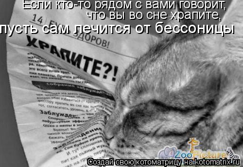 Если кто-то рядом с вами говорит, что вы во сне храпите, пусть сам лечится от бессоницы... Котоматрица: Если кто-то рядом с вами говорит, что вы во сне храпите, пусть сам лечится от бессоницы