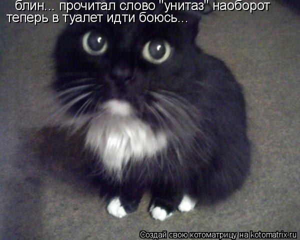 Котоматрица: блин... прочитал слово "унитаз" наоборот теперь в туалет идти боюсь...
