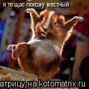 Котоматрица: я те щас покожу местный