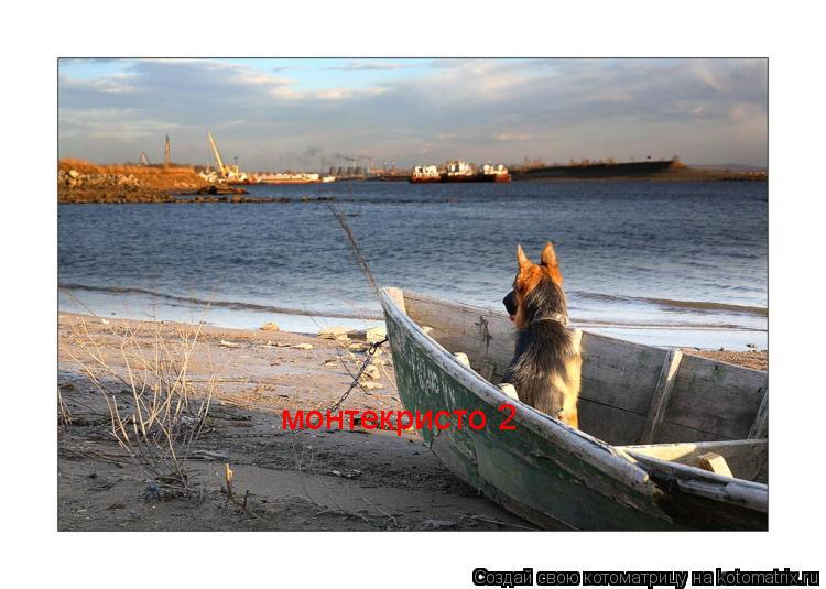 Котоматрица: монтекристо 2