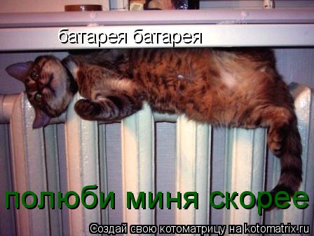 батарея батарея полюби миня скорее... Котоматрица: батарея батарея полюби миня скорее
