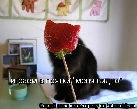 играем в прятки "меня видно"... Котоматрица: играем в прятки "меня видно"