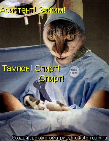 Асистент! Зажим! Тампон! Спирт! Тампон! Спирт! Спирт! Спирт!... Котоматрица: Асистент! Зажим! Тампон! Спирт! Тампон! Спирт! Спирт! Спирт!