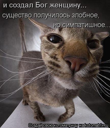 и создал Бог женщину... существо получилось злобное, но симпатишное...... Котоматрица: и создал Бог женщину... существо получилось злобное, но симпатишное...