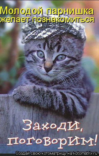 Молодой парнишка желает познакомиться... Котоматрица: Молодой парнишка желает познакомиться