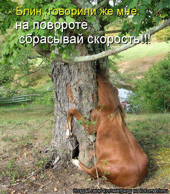 - Блин, говорили же мне: на повороте сбрасывай скорость!!!... Котоматрица: - Блин, говорили же мне: на повороте сбрасывай скорость!!!